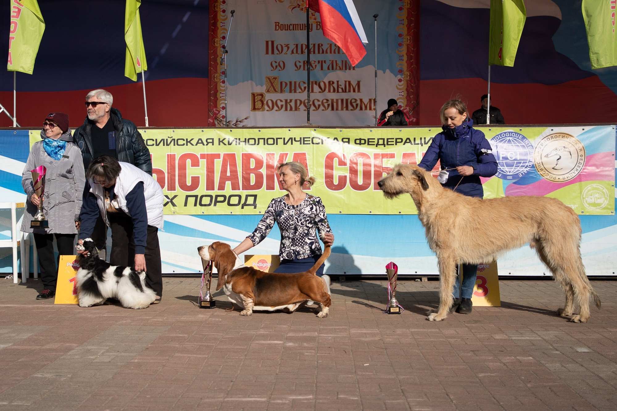 всеволожск юбилейная площадь